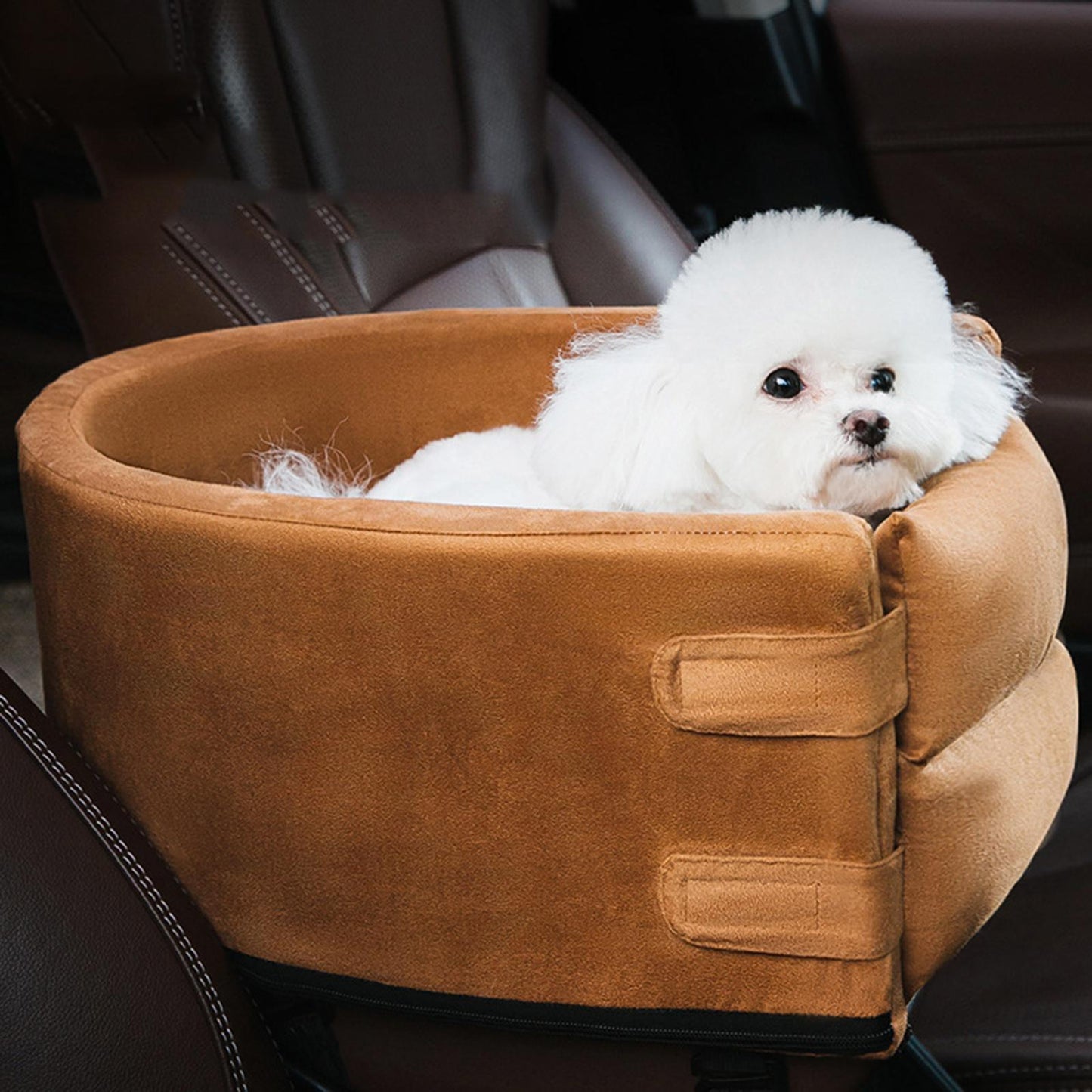 Coussin De Sécurité Pour Animaux — Confort Et Protection En Voiture