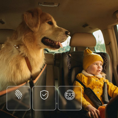 Bilstoltrekk for Hund — Komfort & Sikkerhet i Hverdagen