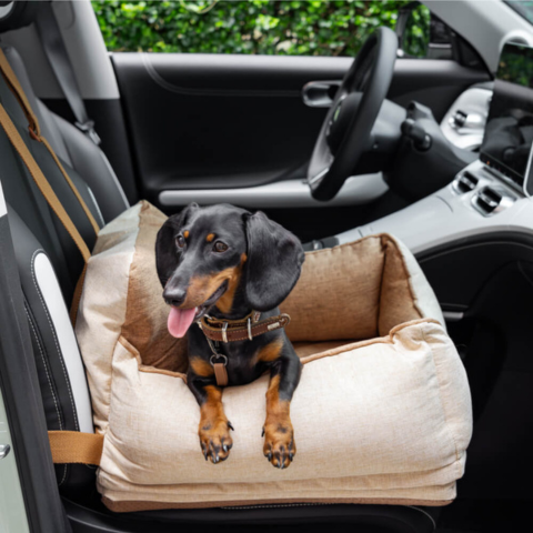 Bilsete for hund – Komfort og sikkerhet i bilen