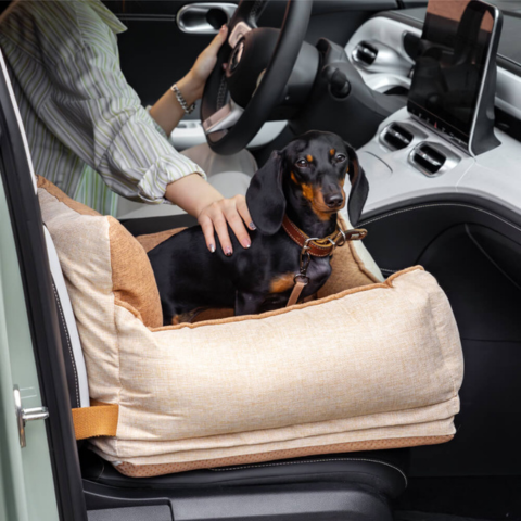 Bilsete for hund – Komfort og sikkerhet i bilen