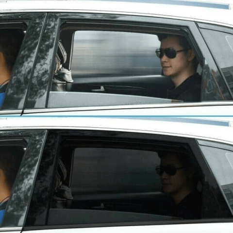 Tendalino Estensibile Per Auto