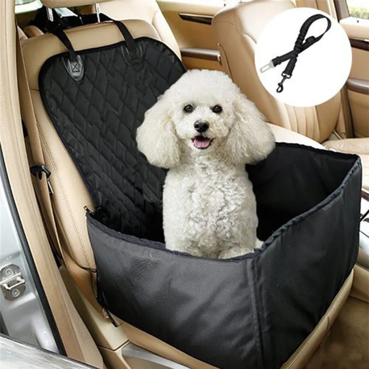 Siège Auto Surélevé Pour Chien — Confort Et Sécurité Pendant Le Voyage