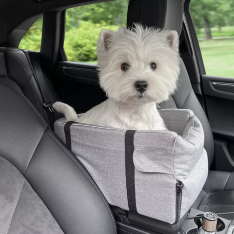 Siège Auto Pour Animaux — Transport Sécurisé Et Confortable