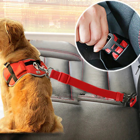 Dog Seat Belt – Travel in Complete Peace of Mind 