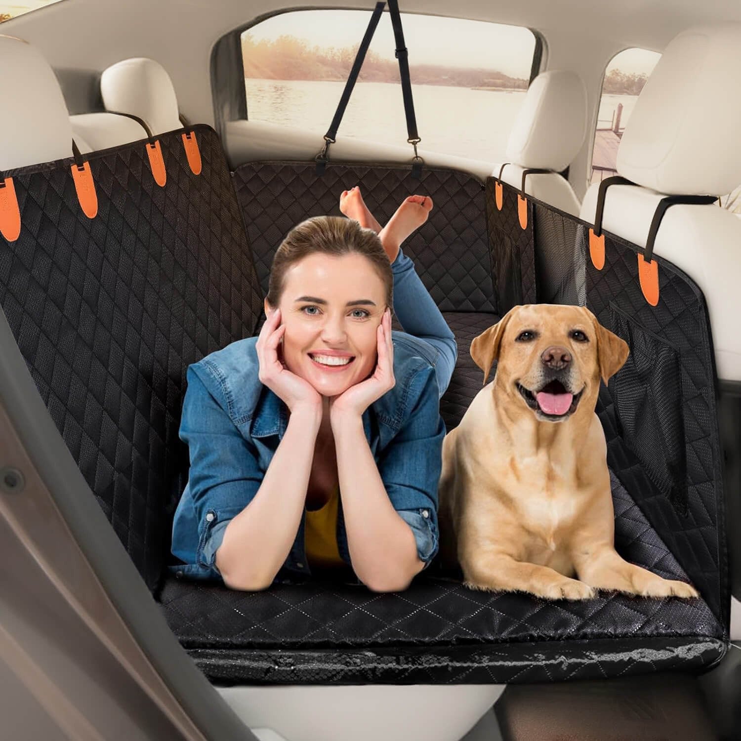 Animales y Viaje 