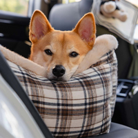 Resebänk För Hund – Bekväm Och Lätt Att Installera 
