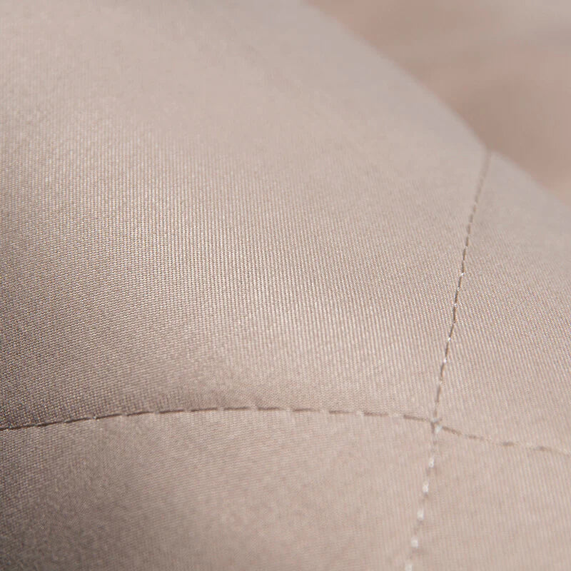 Bilsetevern for kjæledyr - enkel og sikker montering